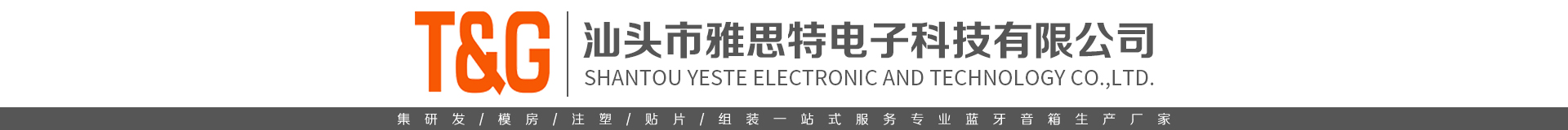 汕頭市雅思特電子科技有限公司